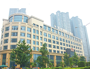成都九天国际大酒店大菠萝福利网站导航不锈钢设备采购项目