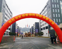 我公司又一力作，格莱特手机科技园食堂大菠萝福利网站导航工程正式开业