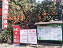 疫情无情人有情，我为抗疫做贡献！